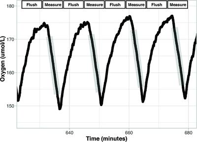 An Innovative Setup for High-Throughput Respirometry of Small Aquatic Animals